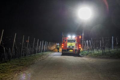 Stuttgart: Vergebliche Suche nach vermisstem Hund